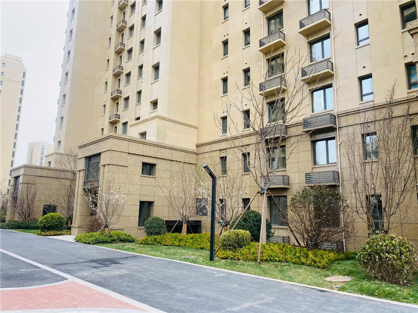 山东黄金麻案例(图1)