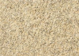 黄金麻是否染色,你会判断吗(图1) 黄金麻是否染色,你会判断吗(图1)