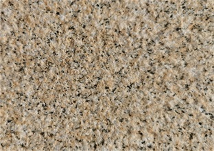 黄金麻路沿石为什么会长青斑(图1) 黄金麻路沿石为什么会长青斑(图1)